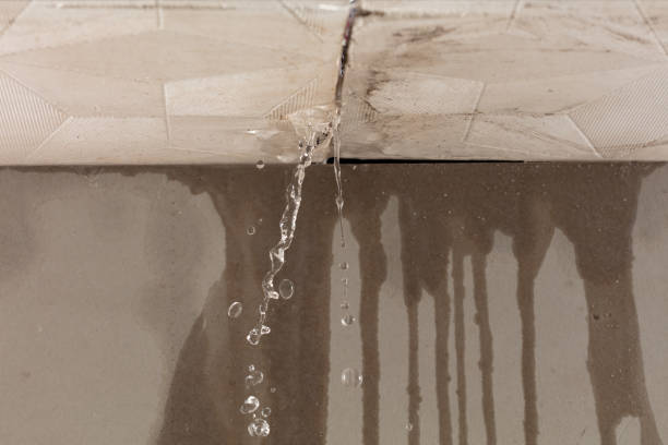 Professional Sewage Cleanup technician working in Wetmore, CO